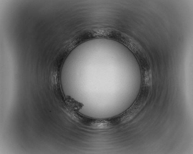 X0000116320514200912091022