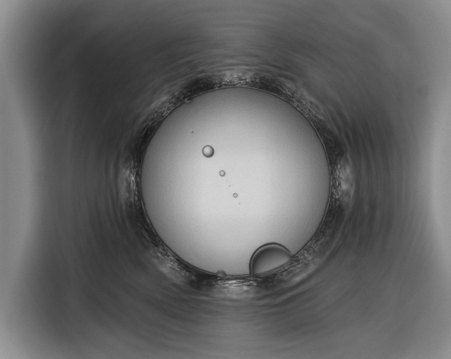 X0000116320522200912091022