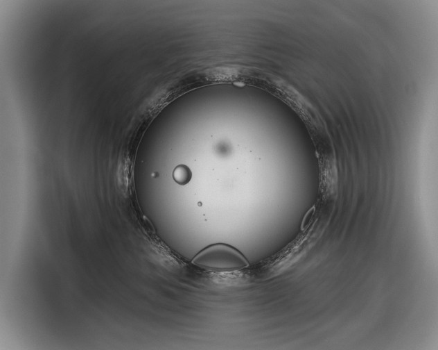 X0000116320525200912091022