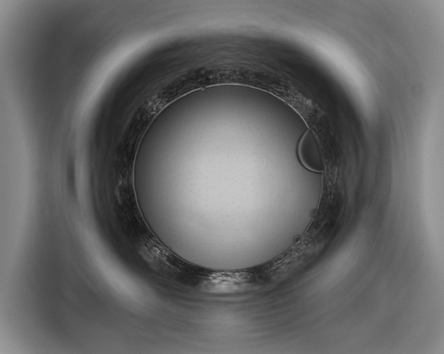 X0000116320526200912091022