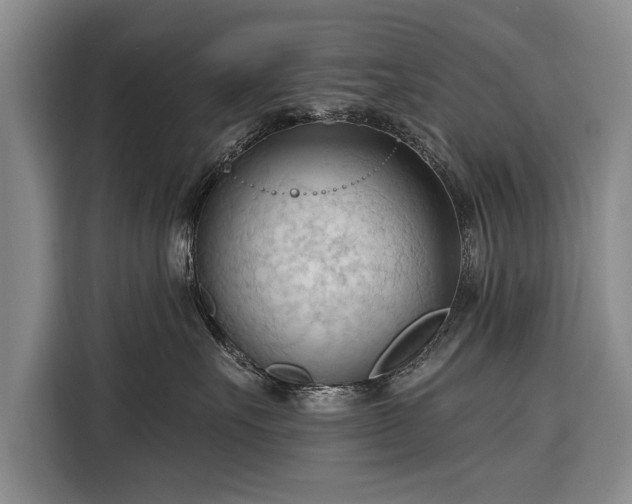 X0000116320527200912091022