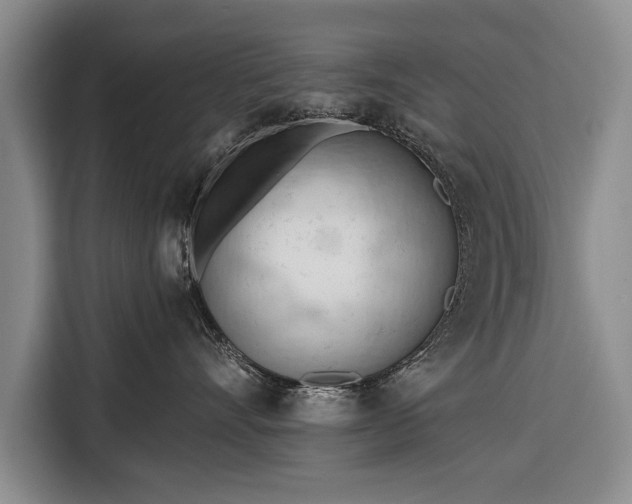 X0000116320528200912091022