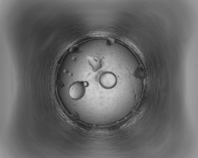 X0000116320529200912091021