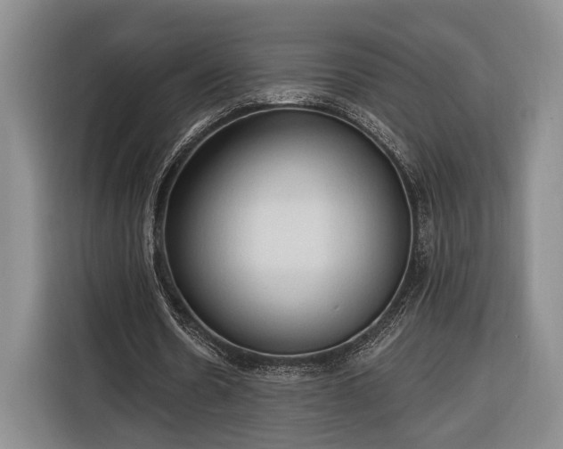 X0000116320530200912091021