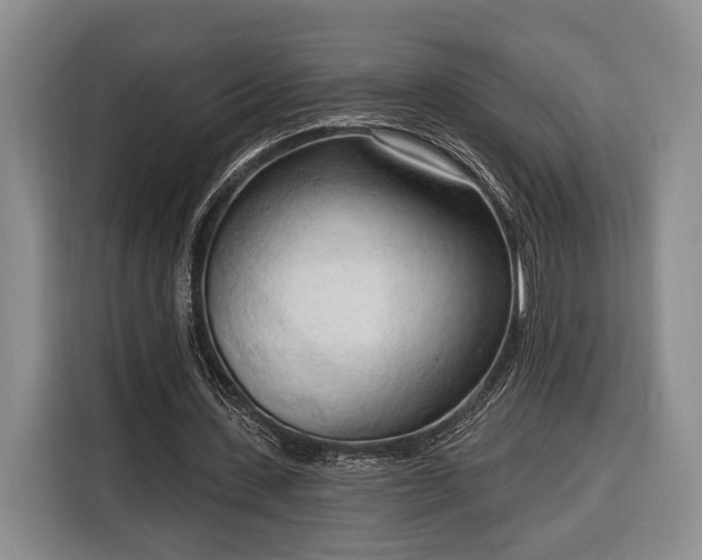 X0000116320531200912091021