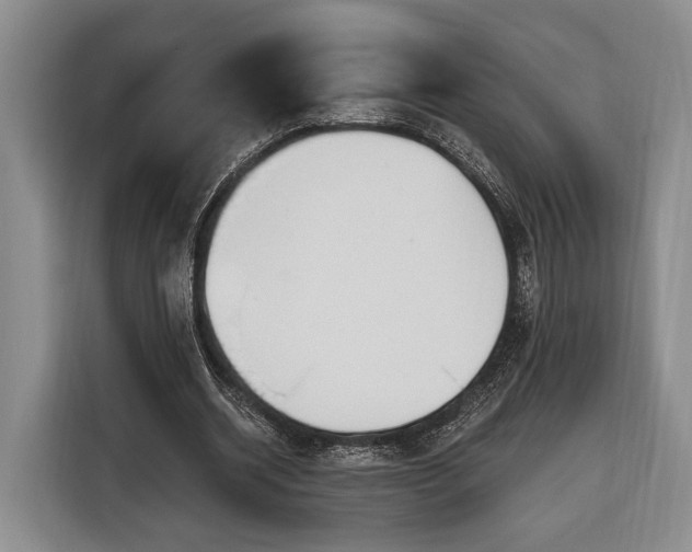 X0000116320534200912091021