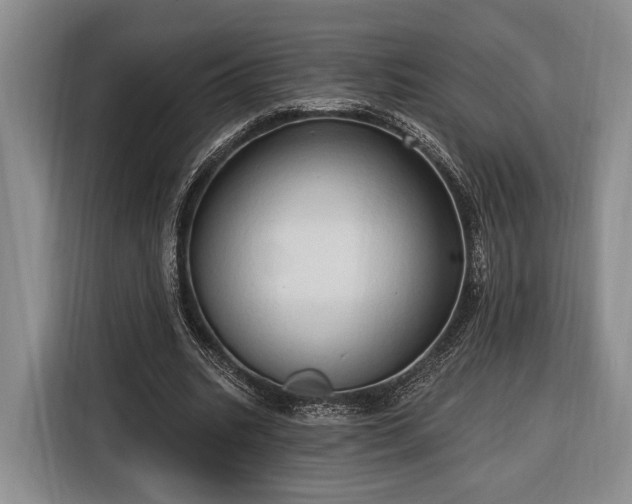 X0000116320535200912091021