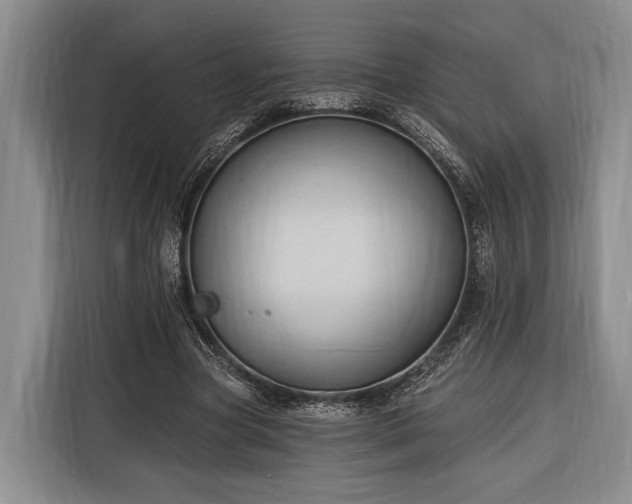 X0000116320537200912091021