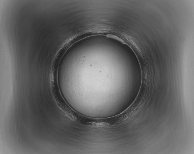 X0000116320539200912091021