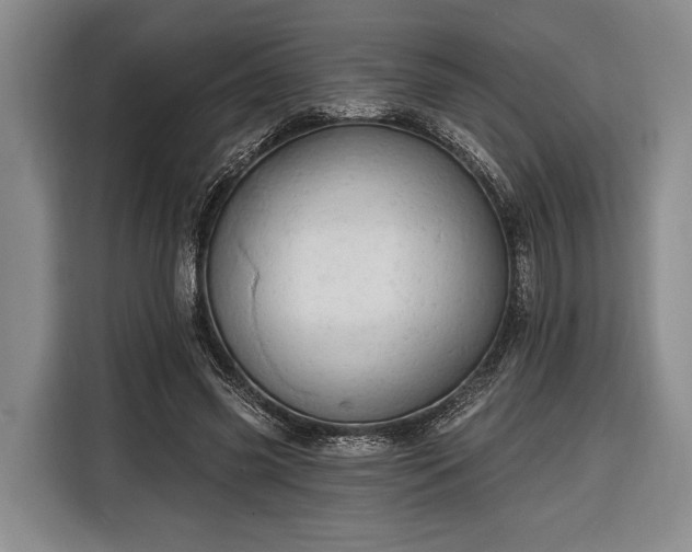 X0000116320541200912091021