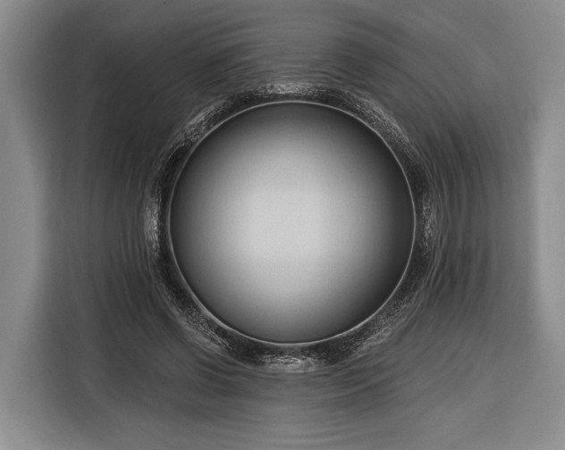 X0000116320542200912091021