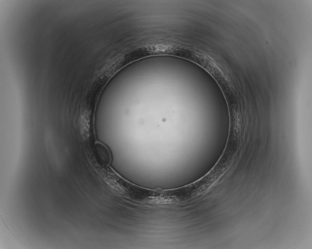 X0000116320545200912091021