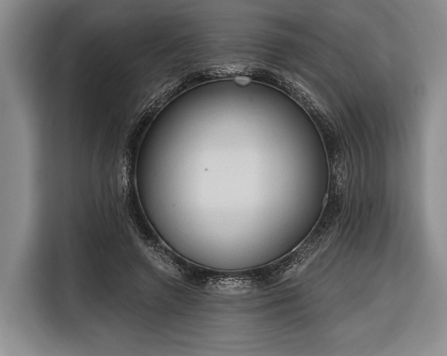 X0000116320546200912091021