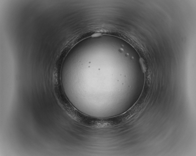 X0000116320547200912091021