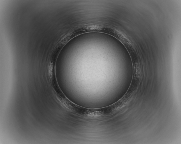 X0000116320550200912091021