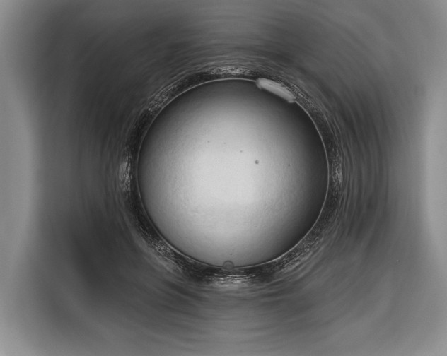 X0000116320551200912091021