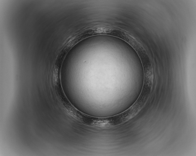 X0000116320554200912091021