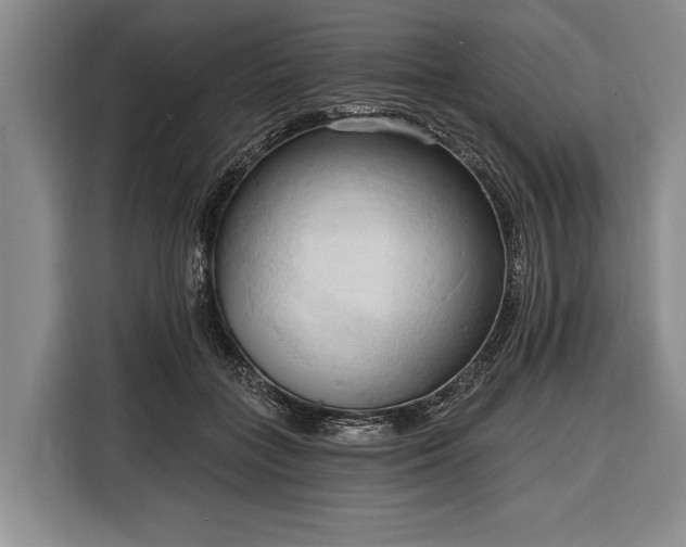 X0000116320555200912091021