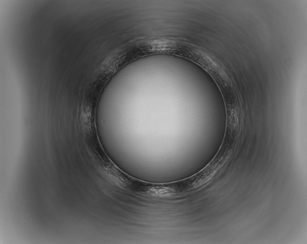 X0000116320557200912091021