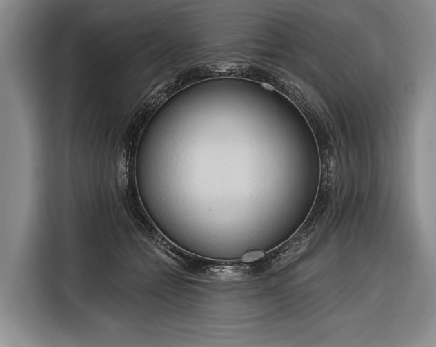 X0000116320558200912091021