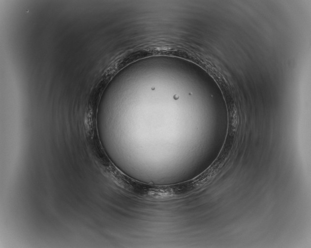 X0000116320559200912091021