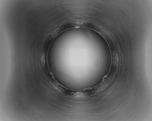 X0000116320562200912091021