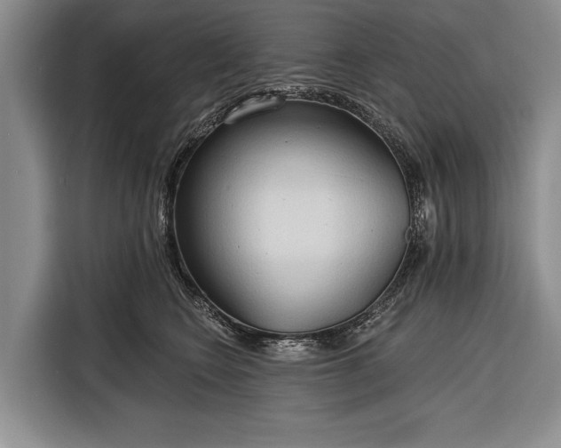 X0000116320566200912091021