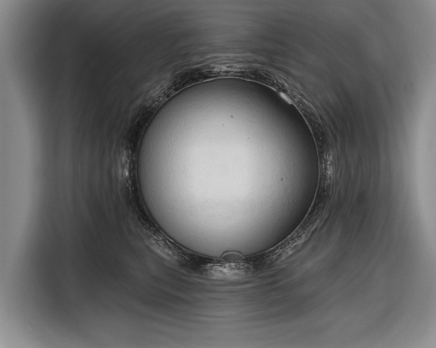 X0000116320567200912091021