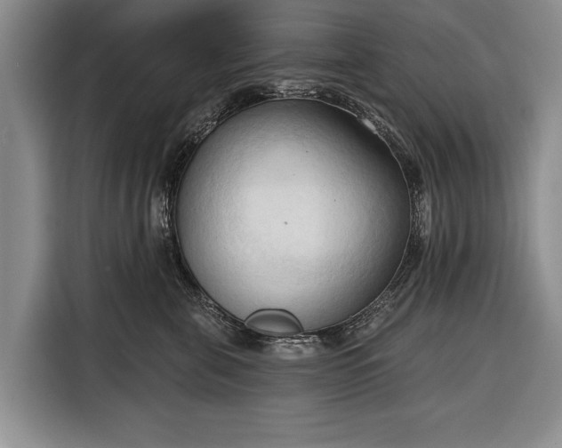 X0000116320571200912091021