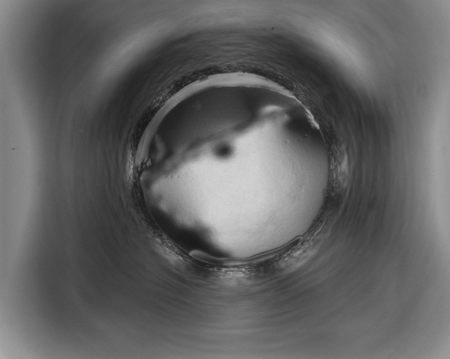 X0000116320574200912091021