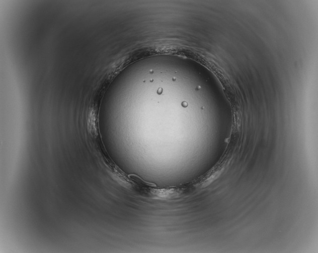 X0000116320575200912091021