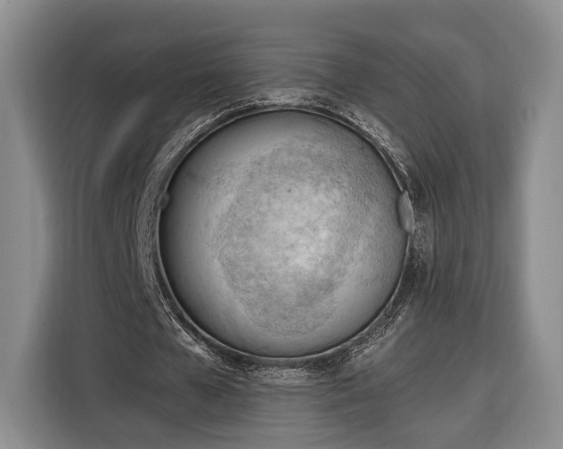 X0000116320577200912091021