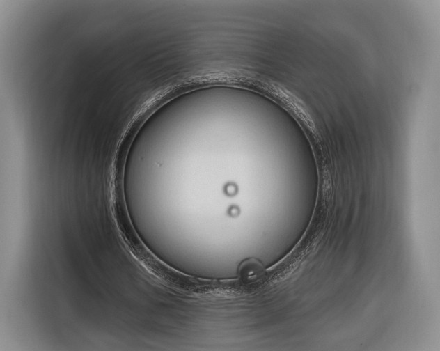 X0000116320578200912091021