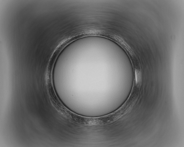 X0000116320579200912091021