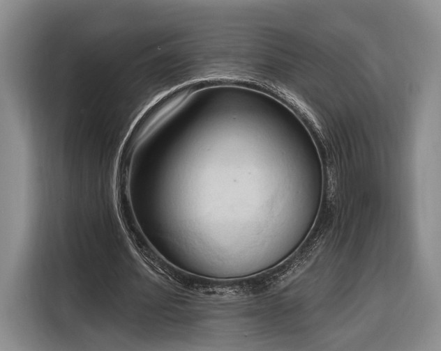 X0000116320580200912091021