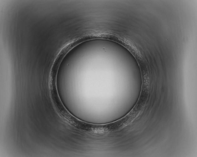 X0000116320587200912091021