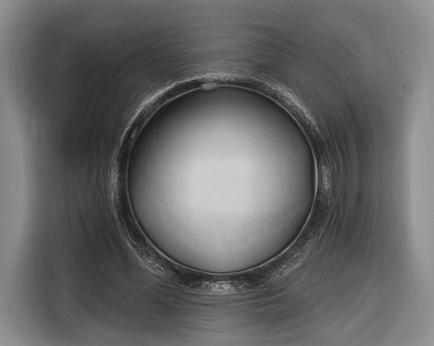 X0000116320588200912091021