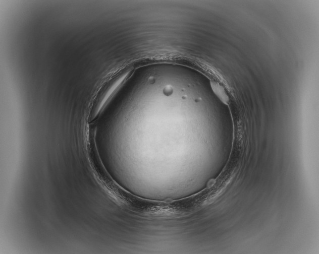 X0000116320589200912091021