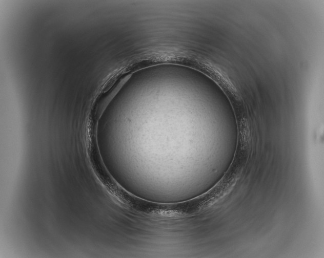 X0000116320590200912091021