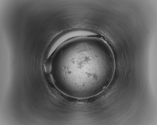 X0000116320592200912091021