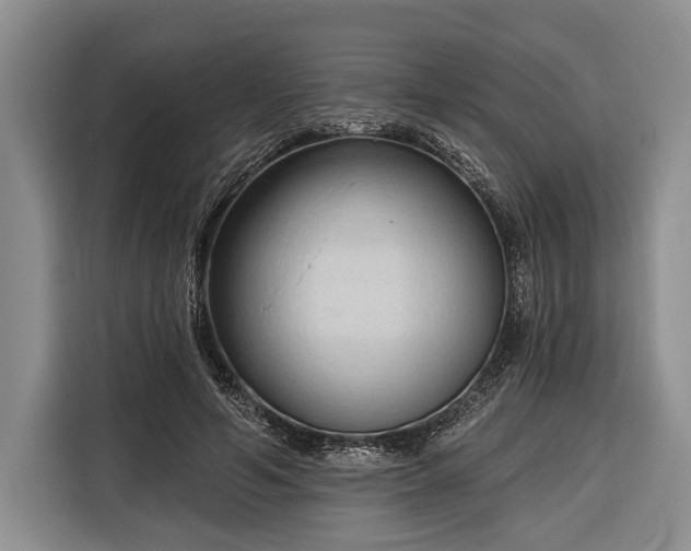 X0000116320594200912091021