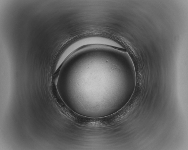 X0000116320596200912091021