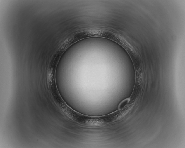 X0000116320597200912091021