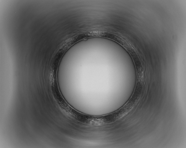 X0000116320599200912091021