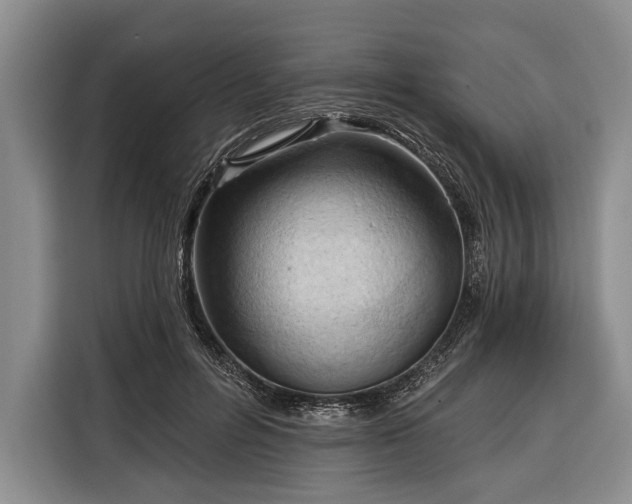 X0000116320600200912091021