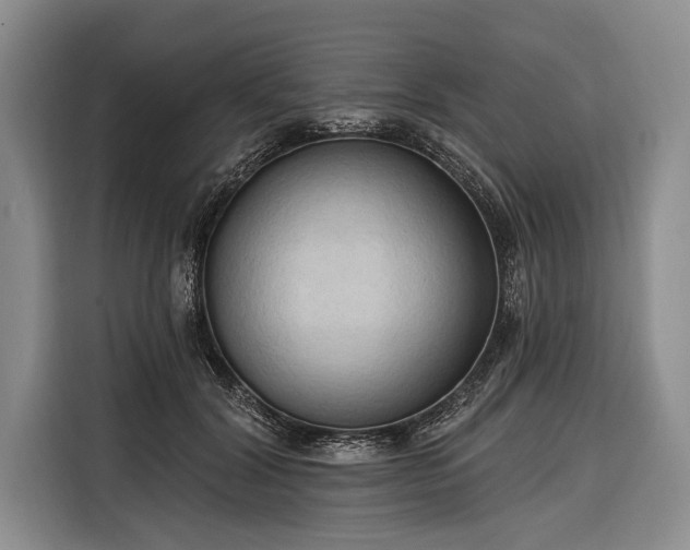 X0000116320604200912091021