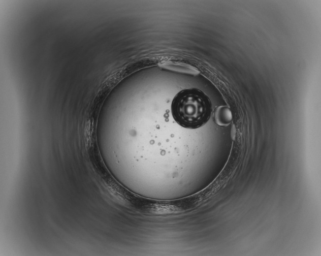 X0000116320605200912091021