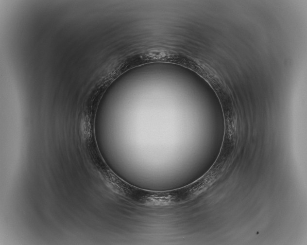 X0000116320606200912091020