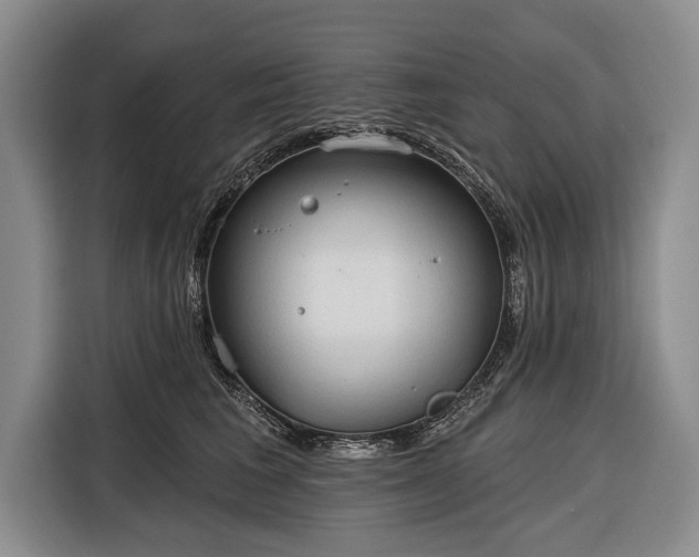 X0000116320613200912091020