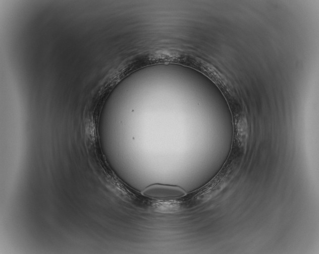 X0000116320617200912091020